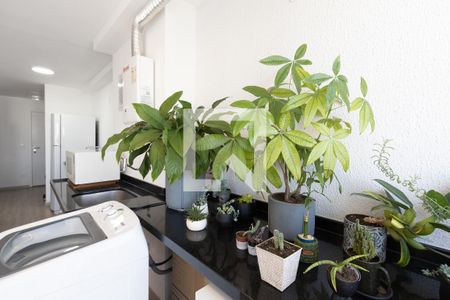 Apartamento à venda com 74m², 3 quartos e 1 vagaCozinha