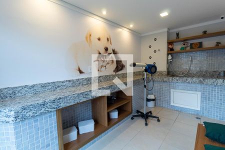 Apartamento para alugar com 32m², 1 quarto e sem vaga Apartamento para alugar com 32m², 1 quarto e sem vagaÁrea Pet