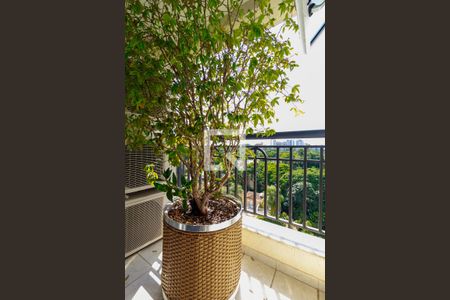 Apartamento à venda com 499m², 4 quartos e 4 vagasSuíte Principal