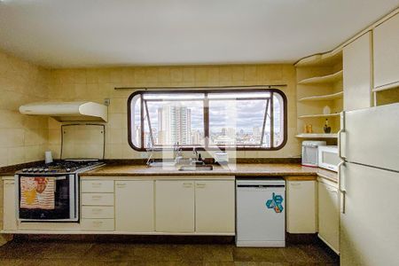 Apartamento à venda com 375m², 4 quartos e 4 vagasCozinha