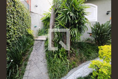 Casa para alugar com 500m², 4 quartos e 6 vagasJardim