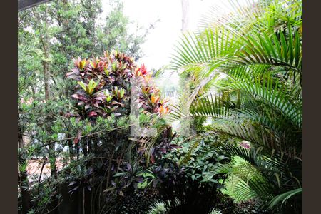 Casa para alugar com 500m², 4 quartos e 6 vagasVista da Suíte 2