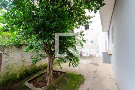 Casa à venda com 220m², 4 quartos e 6 vagasQuintal