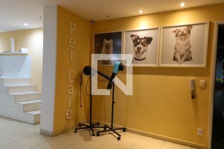 Apartamento para alugar com 50m², 2 quartos e 1 vaga Apartamento para alugar com 50m², 2 quartos e 1 vagaPet care