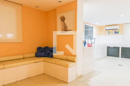 Apartamento para alugar com 50m², 2 quartos e 1 vaga Apartamento para alugar com 50m², 2 quartos e 1 vagaPet care