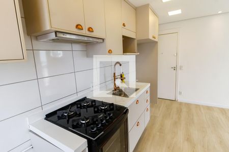 Apartamento para alugar com 42m², 2 quartos e 1 vagaCozinha