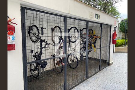 Apartamento à venda com 269m², 3 quartos e 3 vagasBicicletário