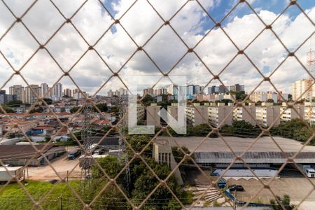 Apartamento para alugar com 50m², 2 quartos e 1 vaga Apartamento para alugar com 50m², 2 quartos e 1 vagaVaranda da Sala - Vista