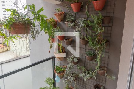 Varanda da Sala de apartamento para alugar com 2 quartos, 53m² em Vila Aurora (zona Norte), São Paulo