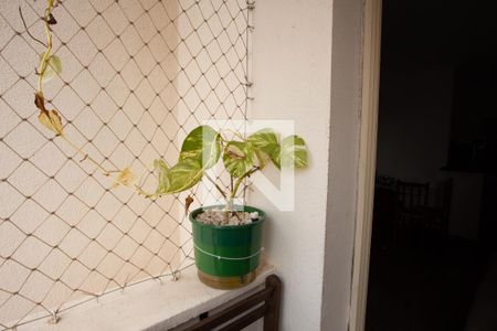 Varanda da Sala de apartamento para alugar com 3 quartos, 60m² em Parque Mandaqui, São Paulo