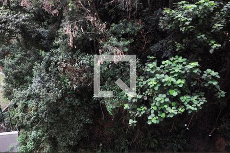 Vista da Sala de apartamento para alugar com 2 quartos, 34m² em Vila Pirituba, São Paulo