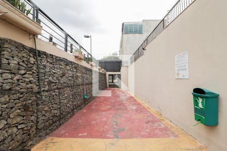 Apartamento para alugar com 49m², 2 quartos e 1 vagaPet Place