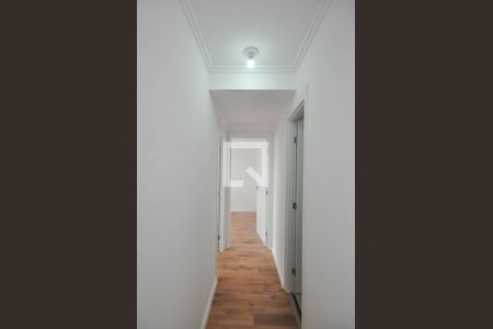 Corredor de apartamento à venda com 2 quartos, 42m² em Jardim Maria Duarte, São Paulo