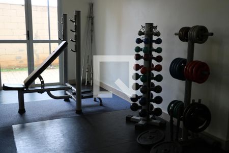 Área comum - Academia de apartamento para alugar com 2 quartos, 54m² em Jardim Maria Duarte, São Paulo