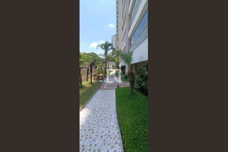 Apartamento para alugar com 97m², 3 quartos e 2 vagas Apartamento para alugar com 97m², 3 quartos e 2 vagasJardim