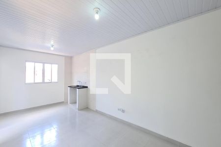 Sala de casa para alugar com 1 quarto, 45m² em Parque Santa Madalena, São Paulo