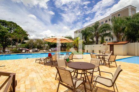 Apartamento para alugar com 56m², 2 quartos e 1 vaga Apartamento para alugar com 56m², 2 quartos e 1 vagaÁrea comum - Piscina