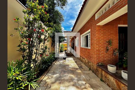 Casa para alugar com 300m², 3 quartos e 2 vagas Casa para alugar com 300m², 3 quartos e 2 vagasQuintal