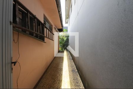 Casa à venda com 139m², 2 quartos e 3 vagas Casa à venda com 139m², 2 quartos e 3 vagasQuintal - lateral