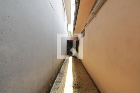 Casa à venda com 139m², 2 quartos e 3 vagas Casa à venda com 139m², 2 quartos e 3 vagasQuintal - lateral