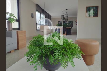 Apartamento para alugar com 35m², 2 quartos e sem vaga Apartamento para alugar com 35m², 2 quartos e sem vagaÁrea comum