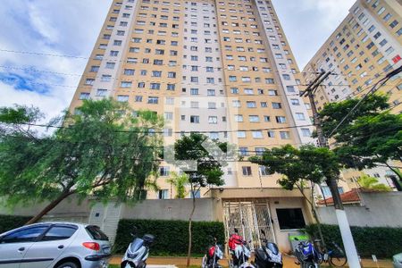 Fachada do Prédio de apartamento para alugar com 2 quartos, 40m² em Cambuci, São Paulo