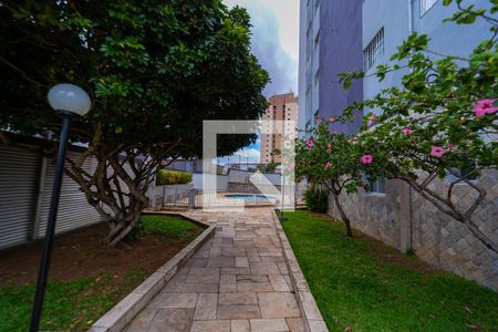 Apartamento para alugar com 80m², 3 quartos e 2 vagasÁrea comum