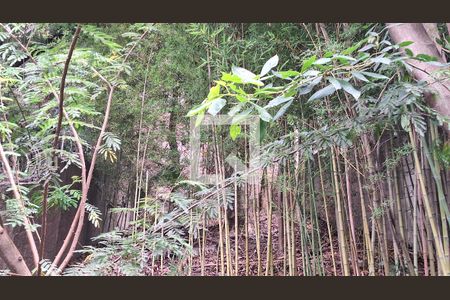 Casa à venda com 250m², 3 quartos e 4 vagasQuintal