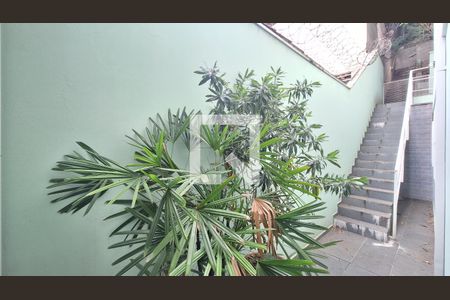 Casa à venda com 250m², 3 quartos e 4 vagasDetalhe