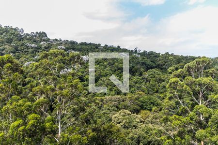 Apartamento à venda com 367m², 4 quartos e 4 vagasVista da Suíte