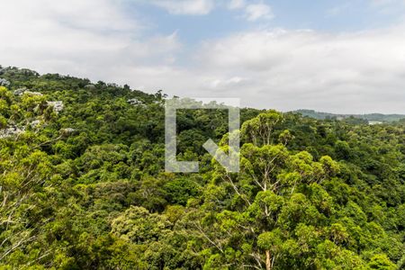 Apartamento à venda com 367m², 4 quartos e 4 vagasVista da Suíte