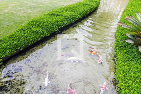 Apartamento à venda com 367m², 4 quartos e 4 vagasÁrea comum