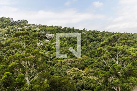 Apartamento à venda com 367m², 4 quartos e 4 vagasVista da Suíte