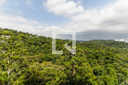 Apartamento à venda com 367m², 4 quartos e 4 vagasVista da Sala