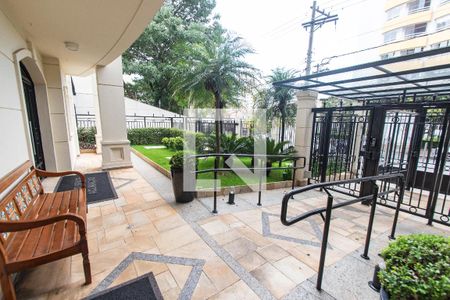Área comum de apartamento para alugar com 2 quartos, 70m² em Cambuci, São Paulo