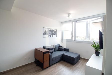 Sala de apartamento para alugar com 2 quartos, 48m² em Vila Sao Francisco (zona Sul), São Paulo