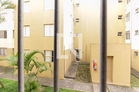 Vista do Quarto 1 de apartamento para alugar com 2 quartos, 50m² em Itaquera, São Paulo