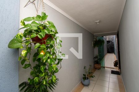 Casa à venda com 242m², 3 quartos e 2 vagas Casa à venda com 242m², 3 quartos e 2 vagasÁrea externa