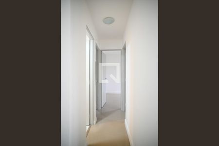 Corredor de apartamento para alugar com 3 quartos, 67m² em Jardim Celeste, São Paulo