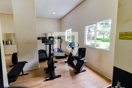 Apartamento à venda com 74m², 3 quartos e 2 vagasÁrea comum - Academia