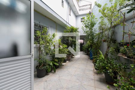 Casa à venda com 350m², 4 quartos e 2 vagas Casa à venda com 350m², 4 quartos e 2 vagasQuintal