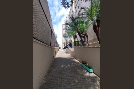 Área comum de apartamento para alugar com 2 quartos, 54m² em Vila Moraes, São Paulo