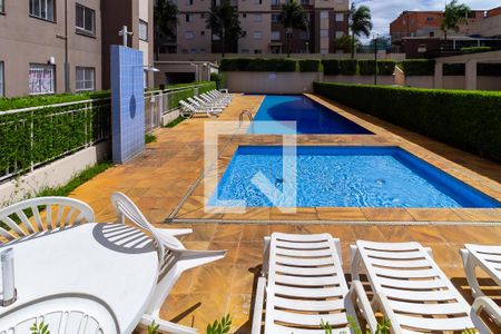 Área comum - Piscina de apartamento para alugar com 2 quartos, 44m² em Vila Independencia, São Paulo