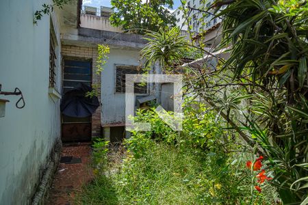 Casa à venda com 280m², 2 quartos e 4 vagasQuintal