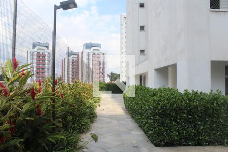 Apartamento à venda com 64m², 2 quartos e 1 vagaÁrea comum - Área Verde