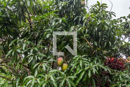 Casa de condomínio à venda com 849m², 4 quartos e 6 vagasQuintal