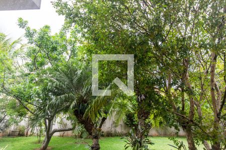 Casa de condomínio à venda com 849m², 4 quartos e 6 vagasVista da Cozinha