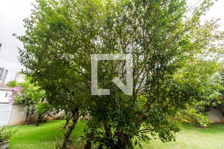 Casa de condomínio à venda com 849m², 4 quartos e 6 vagasVista da Cozinha