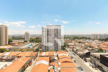 Apartamento para alugar com 74m², 2 quartos e 1 vaga Apartamento para alugar com 74m², 2 quartos e 1 vagaÁrea de Serviço - Vista
