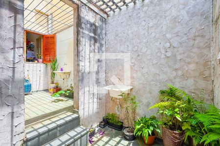 Casa para alugar com 20m², 1 quarto e sem vagaÁrea comum - Lavanderia